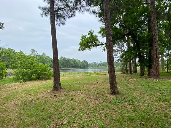 View towards lake, imagine a hammock between those 2 trees!