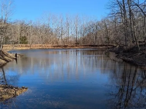 Tbd Oak Pt, Gravois Mills, MO 65037