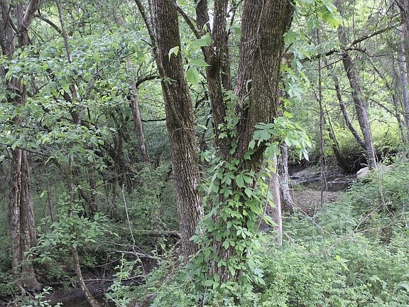 5th image of 3 Midland Fosterville Rd