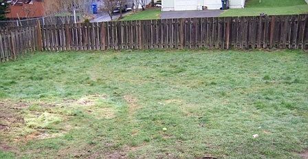 2nd image of 3108 59th Ave NE