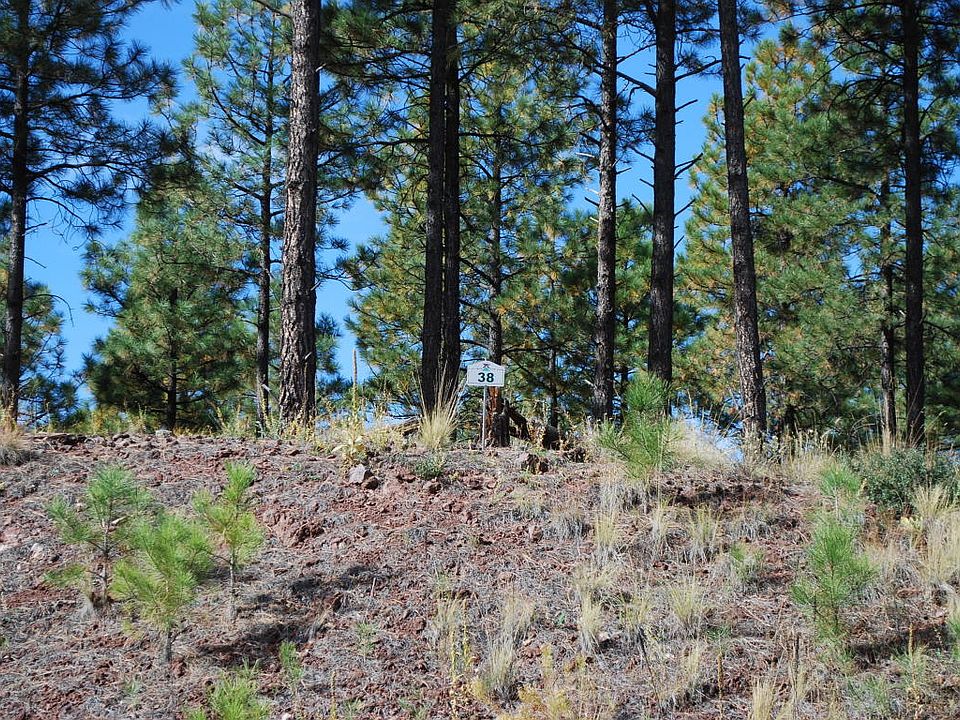 2nd image of 3715 S Bridle Path