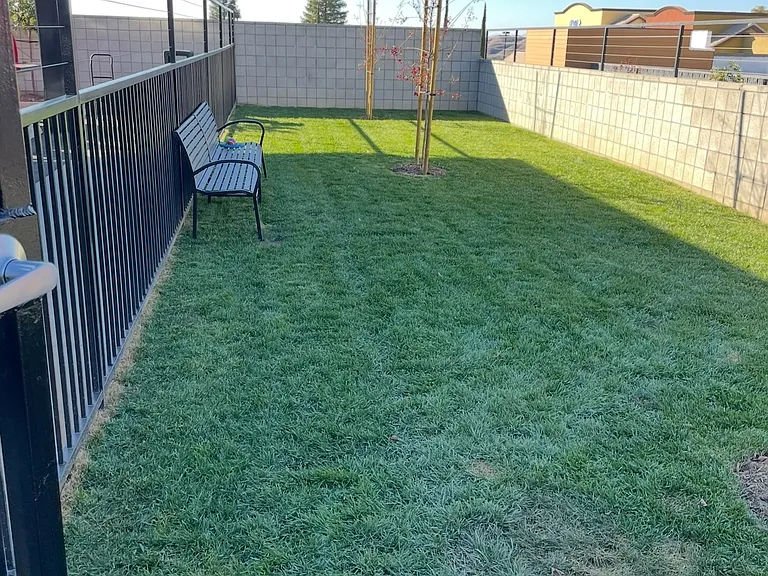 34384 Yucaipa Blvd — Photo 25
