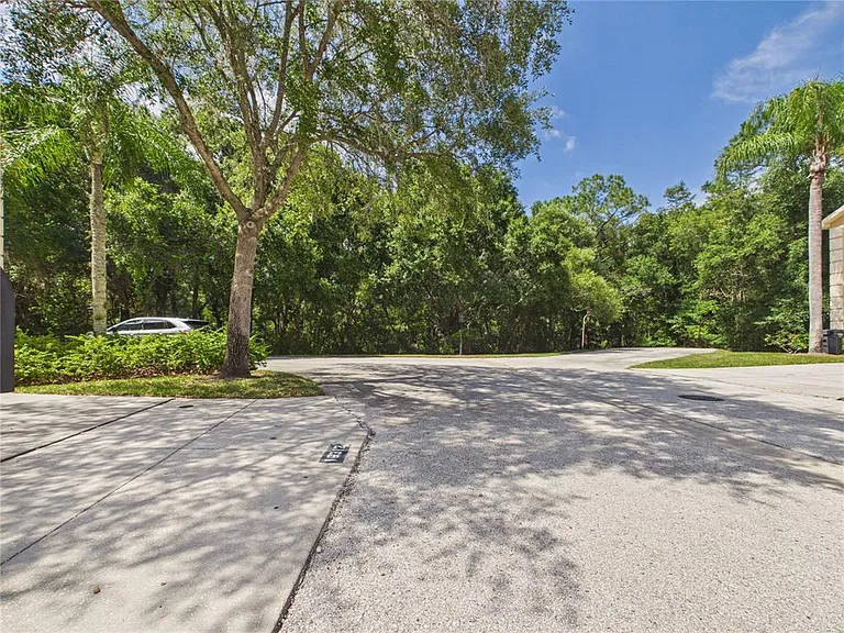 16310 Fairford Palms Ct — Photo 50