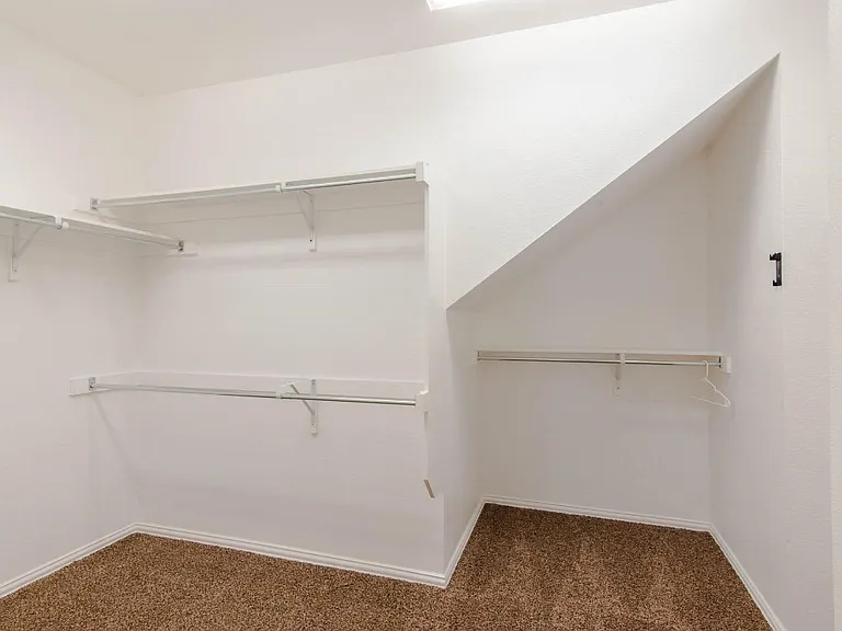 1512 Cockatiel Dr — Photo 20