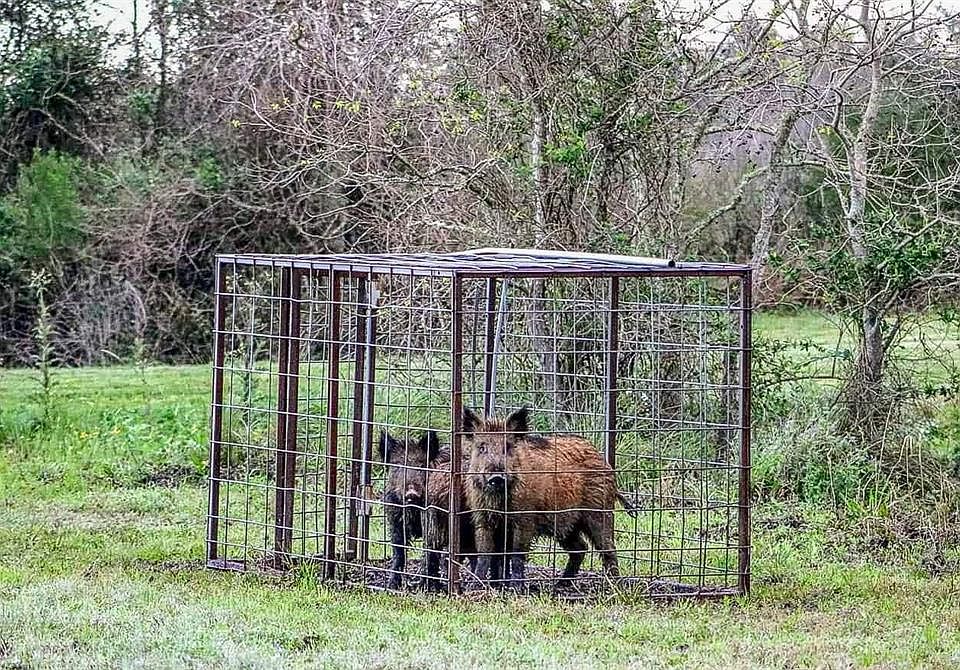 7118 Highway 124, Stowell, TX 77661 MLS 40738723 Zillow