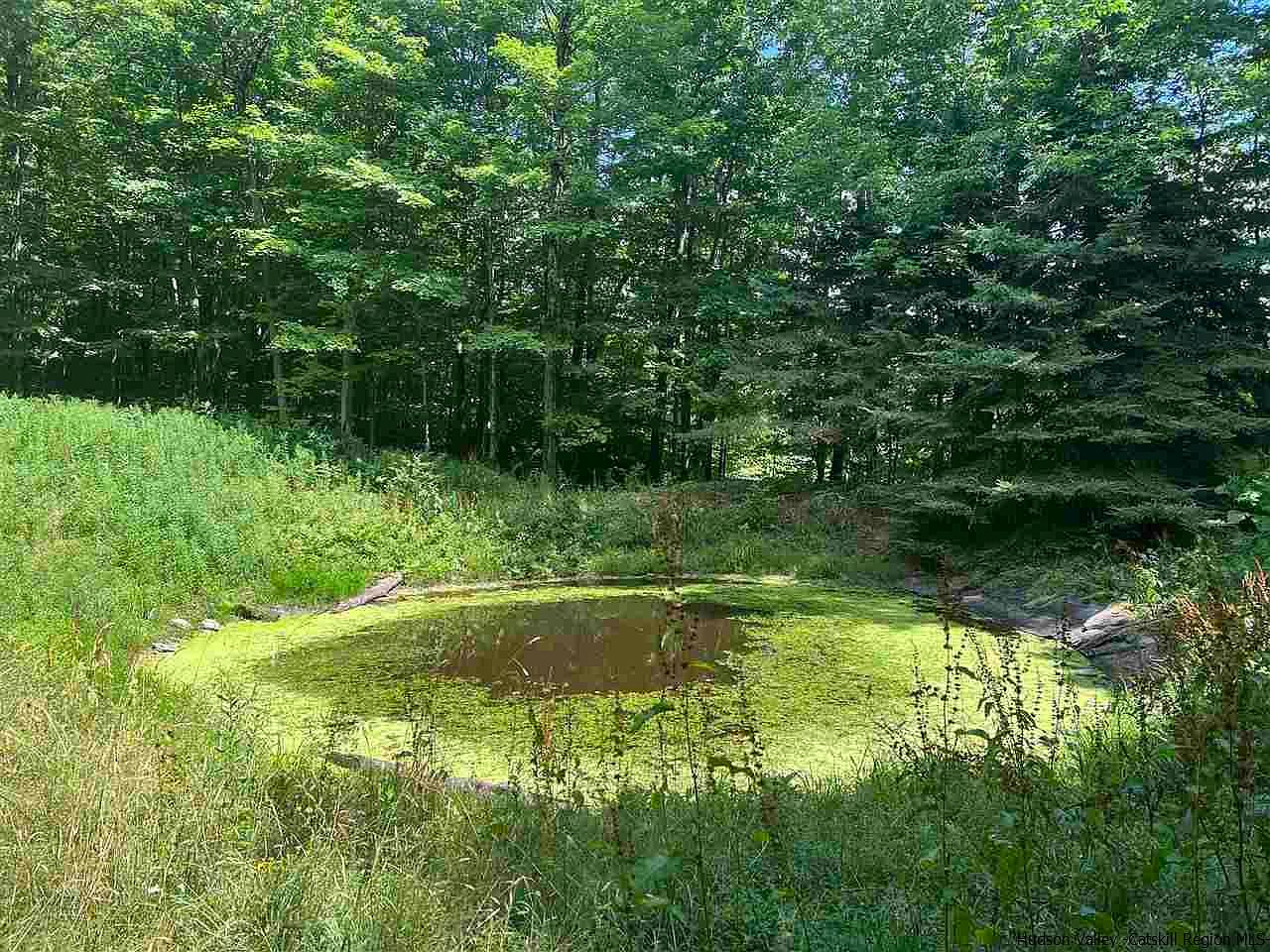 0 Shaver Hollow Road, Andes, NY 13731 Zillow