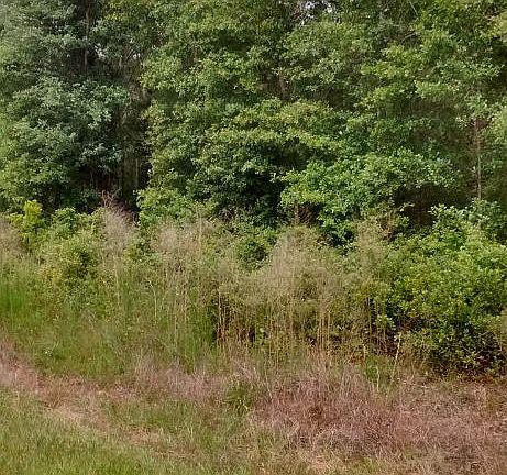3rd image of Tbd Nw County Road 25a