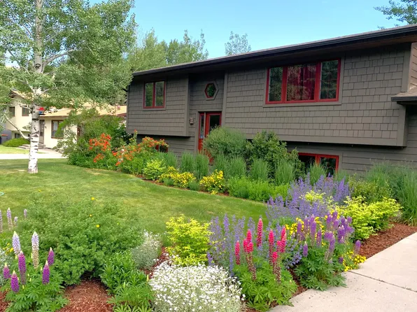 465 E Hansen Ave, Jackson, WY 83001