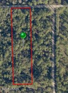 938 Falcon Roost Ln, New Smyrna Beach, FL, 32168