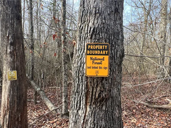 Golden Pond Ln, Witts Springs, AR 72686