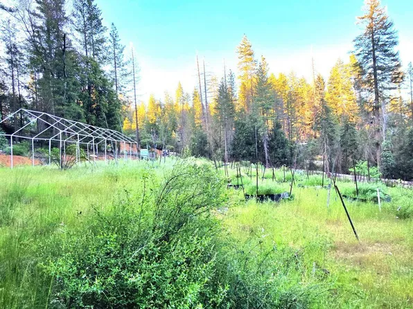 1161 Chrome Mine Rd, Hayfork, CA 96041