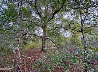 LOT 14 Sadorus Ave, Alford, FL 32420