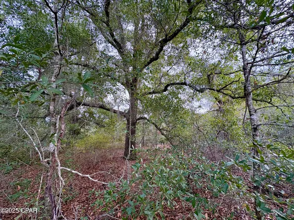 LOT 14 Sadorus Ave, Alford, FL 32420