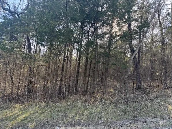1 Table Rock Cottonwood Dr #3, Eureka Springs, AR 72631