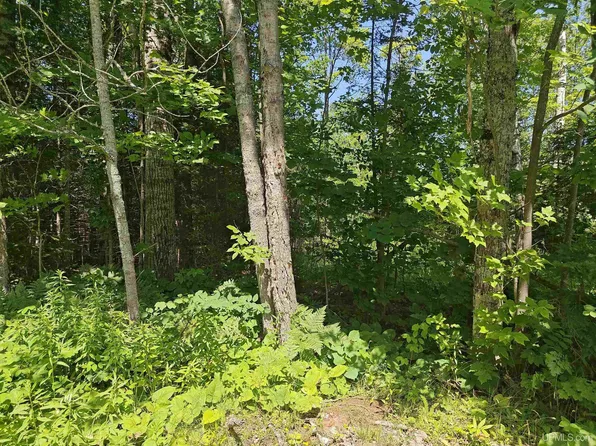 Off Woodspur Rd, Ontonagon, MI 49953