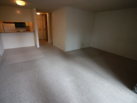 3rd image of 2113 Shelter Creek Ln