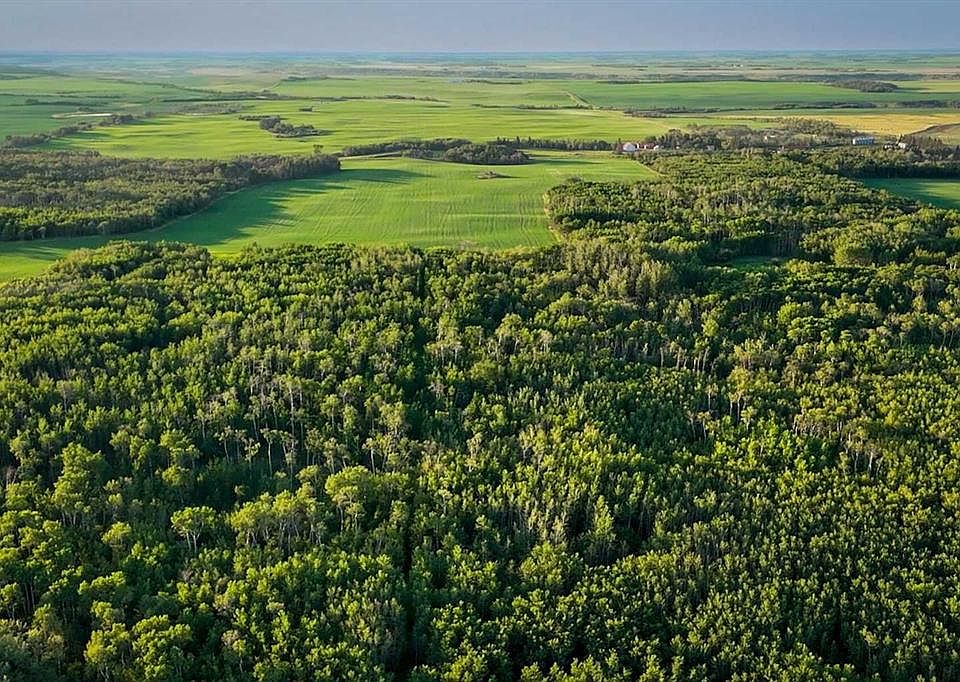 1st image of 9 Rural Camrose