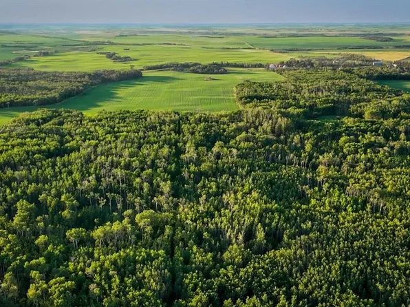 9 Rural Camrose, 43 County, AB T0B 1H0