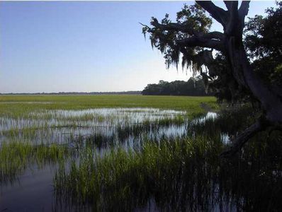 6946 Bears Bluff Rd, Wadmalaw Island, SC, 29487