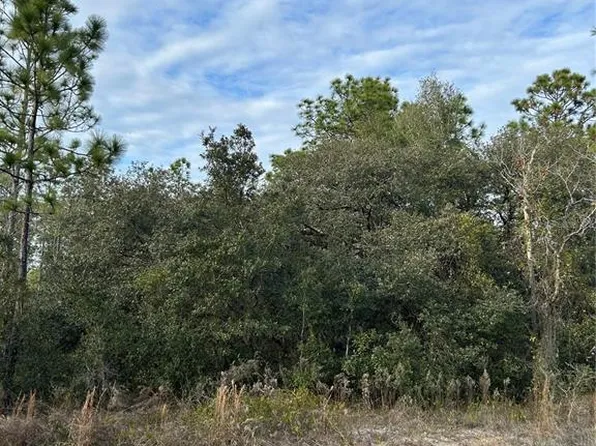 SW Huckleberry Ln #27, Dunnellon, FL 34431