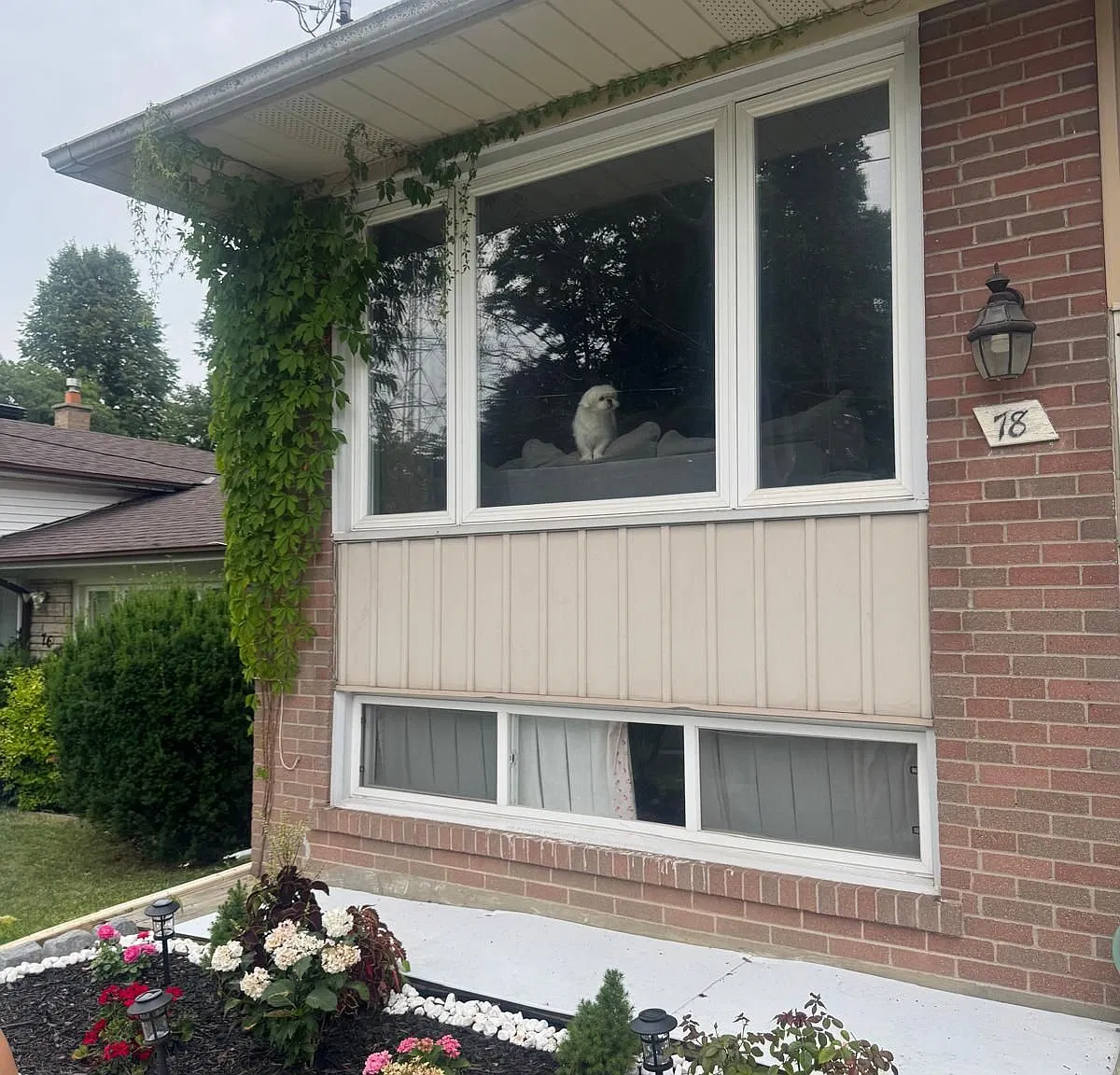 2 bed, $1,950 — Photo 2