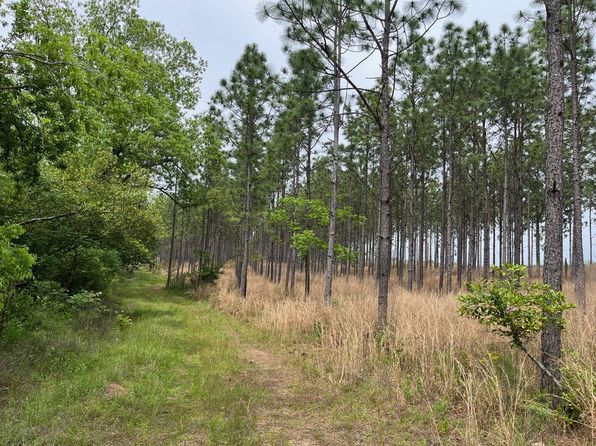 265 Williford Rd, Rebecca, GA 31783