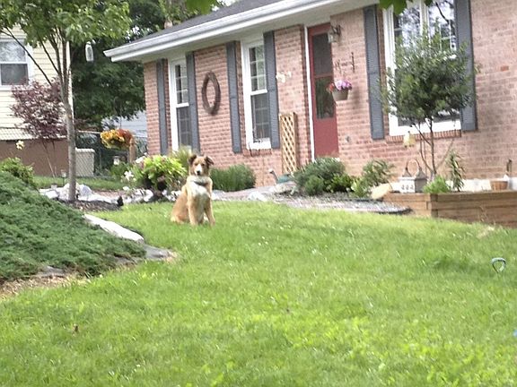 3rd image of 146 Twin Hill Cir