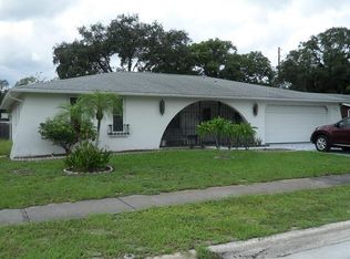 6818 Hills Dr, New Port Richey, FL 34653