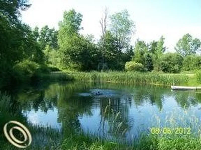 Thumbnail 20