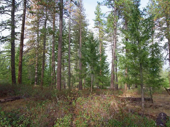 Lonesome Pines Dr #4, Trout Lake, WA 98650