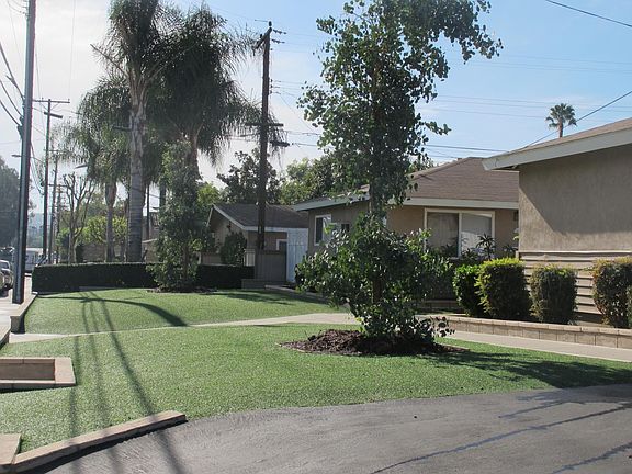 Front eucalyptus view