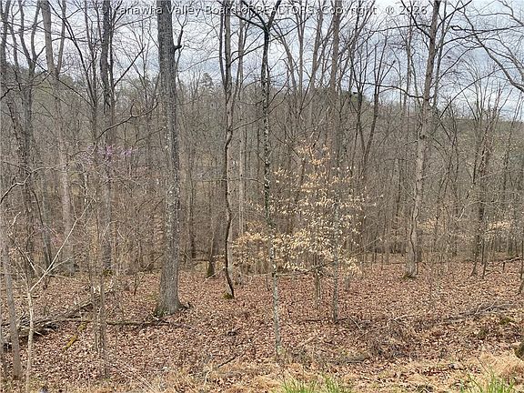 4th image of 701 Tower Rd
