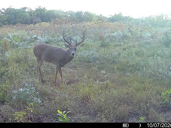 3rd image of 8210 N Traders Bend Rd