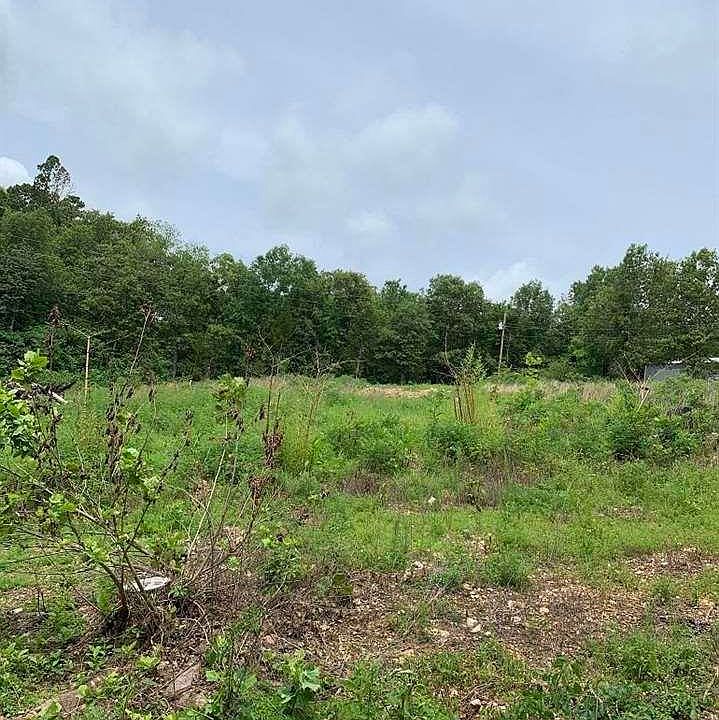 2nd image of White Oak Dr