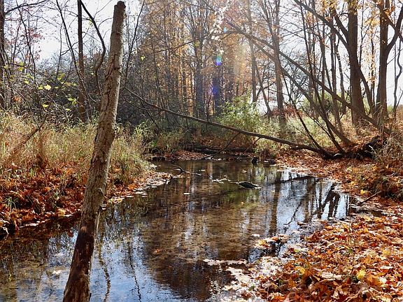 4th image of 7914-4 Mile Rd