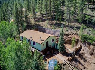 72 Stucke Rd, Bailey, CO 80421