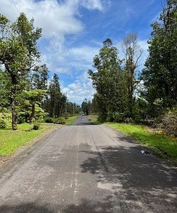 2nd image of Hibiscus St Lot 7305