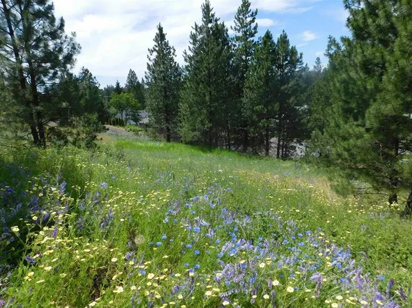 420 NE Stringham Rd Lot 2, Rockford, WA 99030