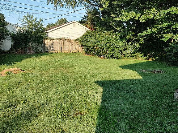 Back yard