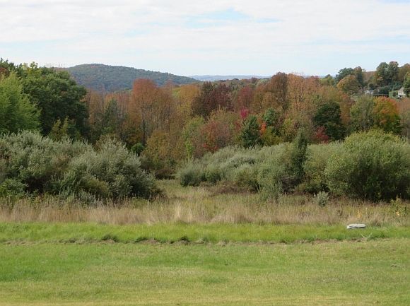 2nd image of 109 Andrews Rd