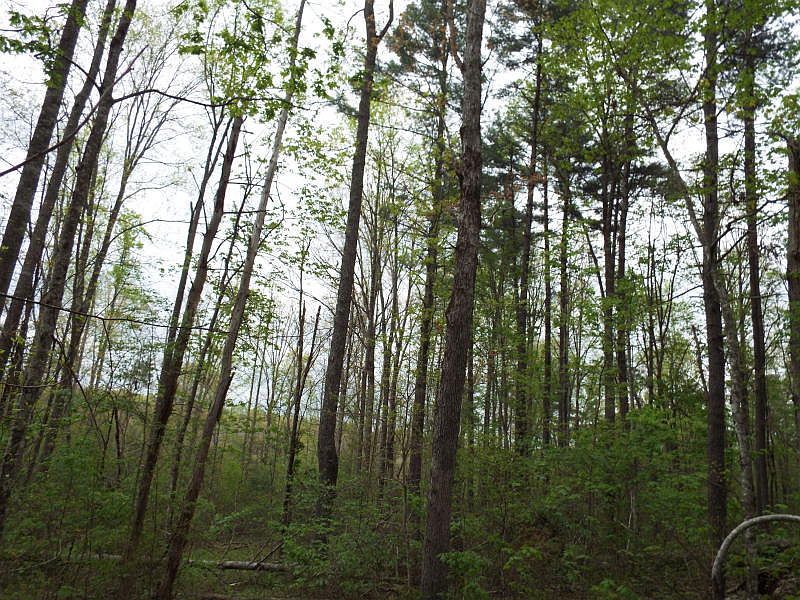 2nd image of Fritts Rd