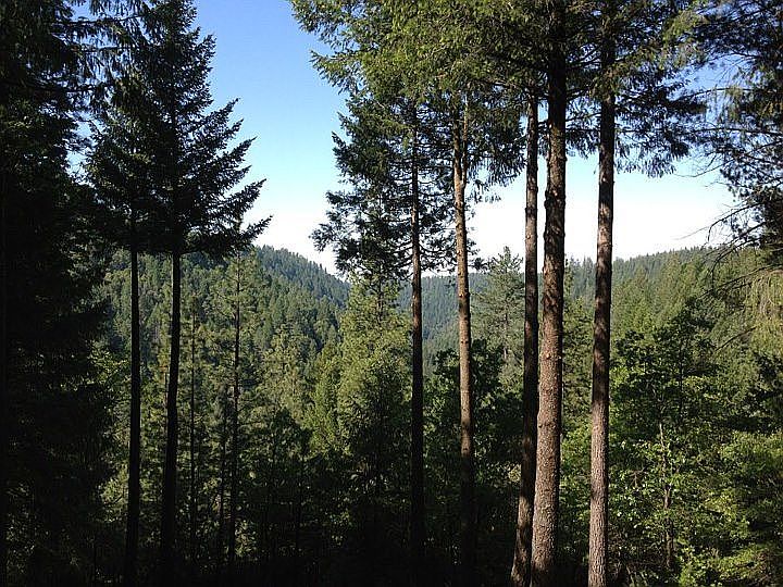 Daytime View from Deck