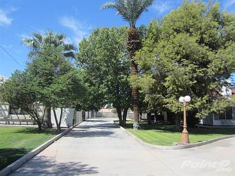 Side driveway to rear house and North side yard with plenty of mature trees that offer plenty of shade.