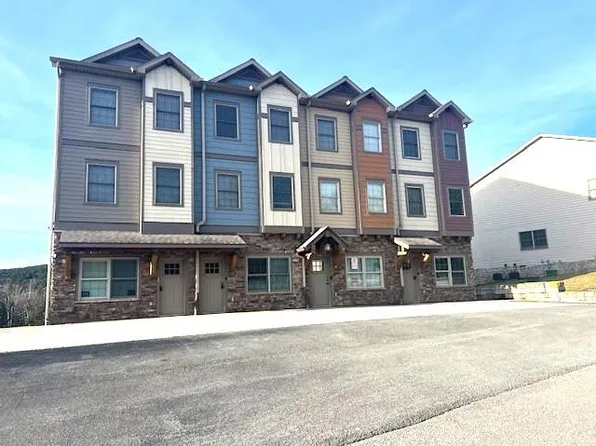 55 Creekside Dr, Snowshoe, WV 26209