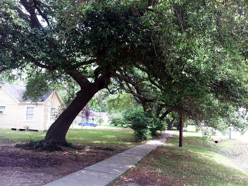 2nd image of 1904 Beaumont St