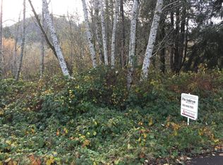 35840 Salmon Dr, Hebo, OR 97122