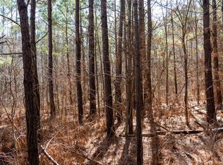 185 Dam Rd, Wilsonville, AL 35186