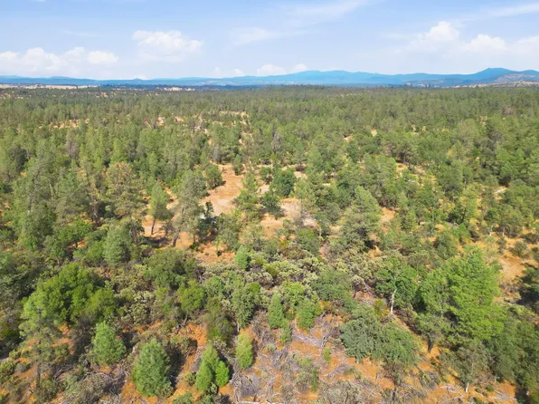 No Address 93 120 31 #0, Shingletown, CA 96088
