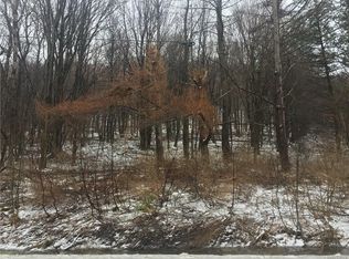 6933 Plato Rd, East Otto, NY 14729