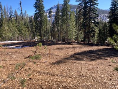 8715 Johnson Pass Rd, South Lake Tahoe, CA, 96150